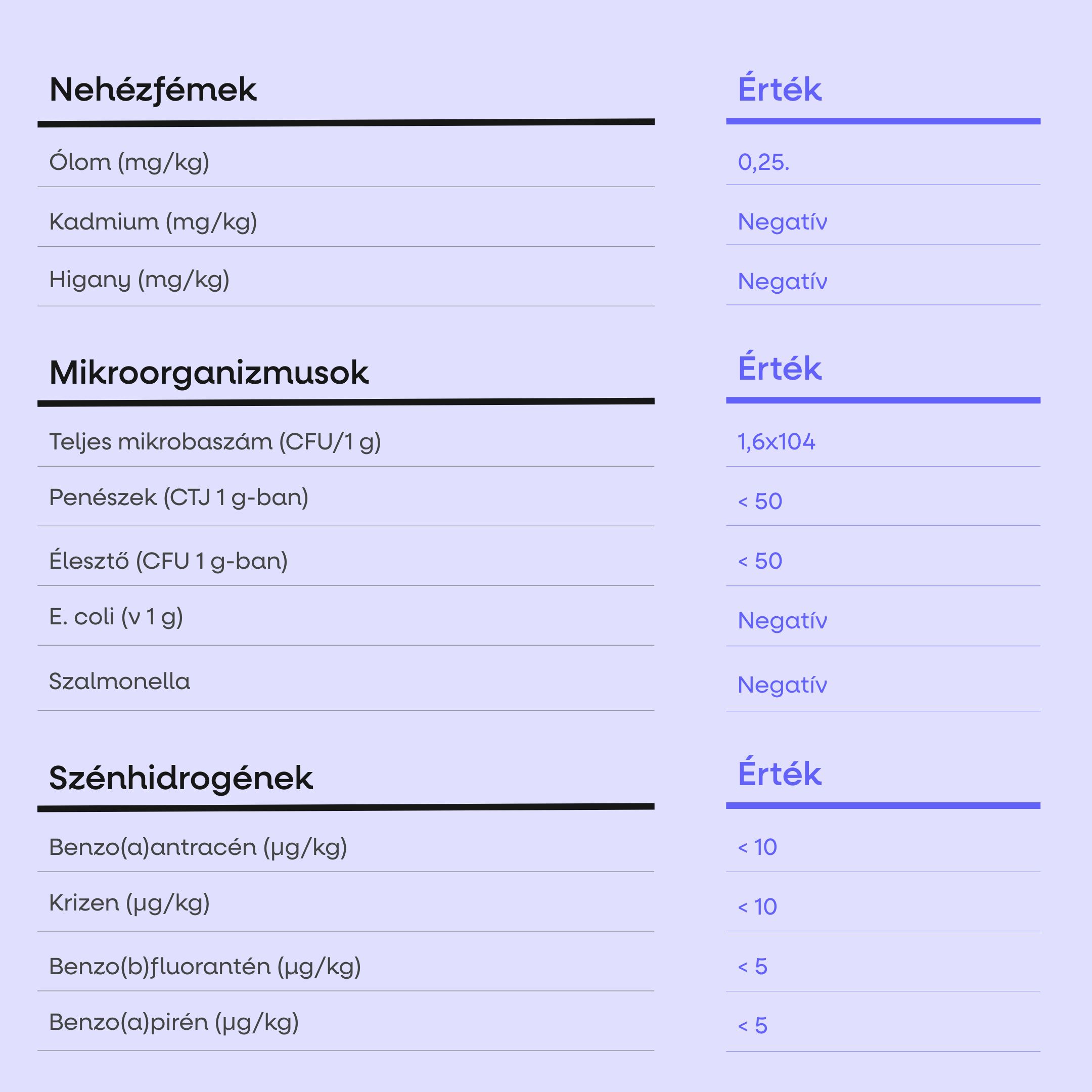 (Maďarština) - 2025-08-08T105350.225